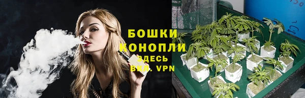сатива Пролетарск
