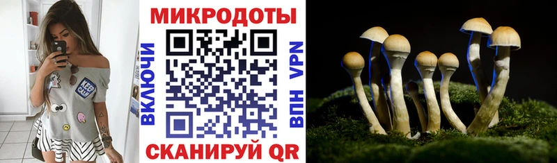 где купить наркоту  Можайск  Галлюциногенные грибы мухоморы 