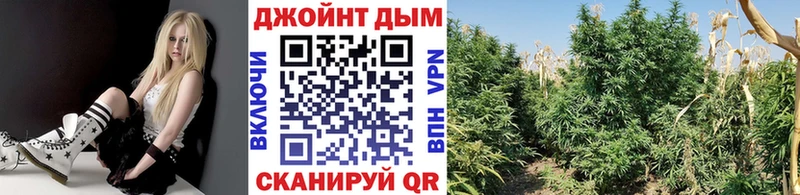 МАРИХУАНА LSD WEED Можайск